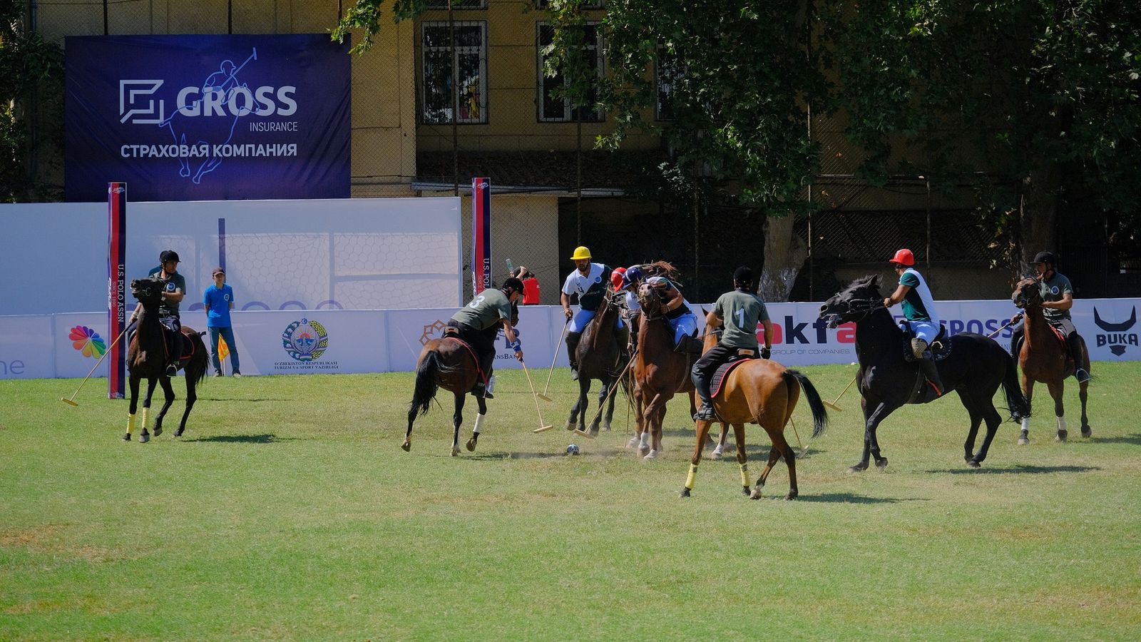 Maysazordagi yozgi polo oʻyini, umumiy koʻrinish