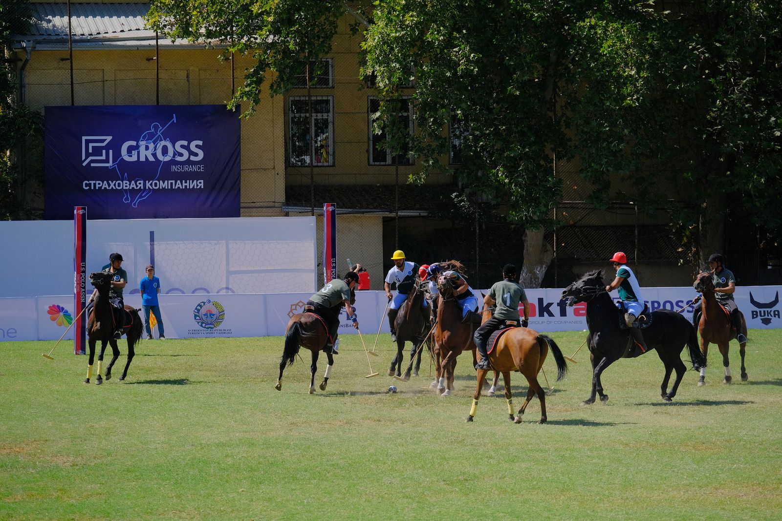 Maysazordagi yozgi polo oʻyini, umumiy koʻrinish
